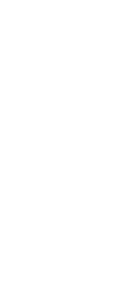 *favicon